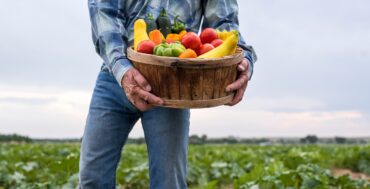 Fruit Picking in Greeley Colorado