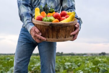 Fruit Picking in Greeley Colorado