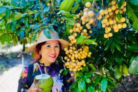 Fruit Picking in Homestead Florida