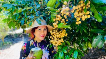 Fruit Picking in Homestead Florida