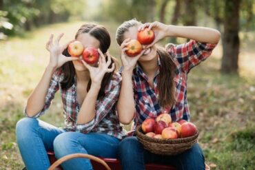 Fruit Picking in Joliet Illinois