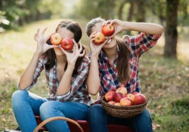 Fruit Picking in Joliet Illinois