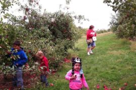 Fruit Picking in Omaha Nebraska