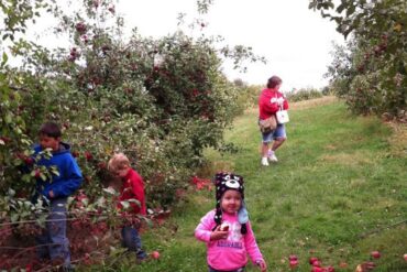 Fruit Picking in Omaha Nebraska