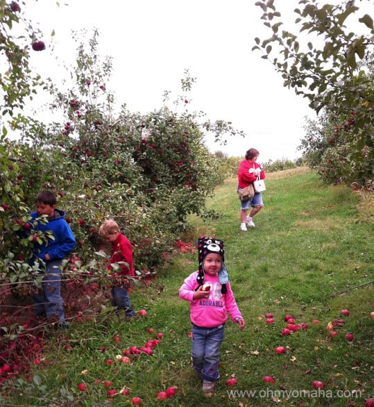 Fruit Picking in Omaha Nebraska