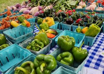 Fruit Picking in Rockville Maryland