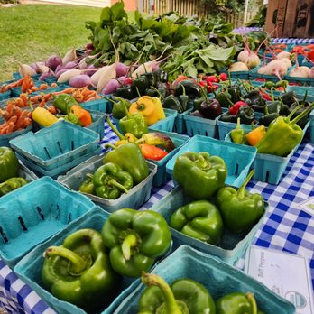 Fruit Picking in Rockville Maryland