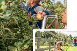 Fruit Picking in Schenectady New York