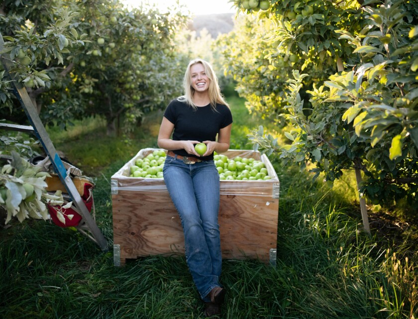 Fruit Picking in Thornton Colorado