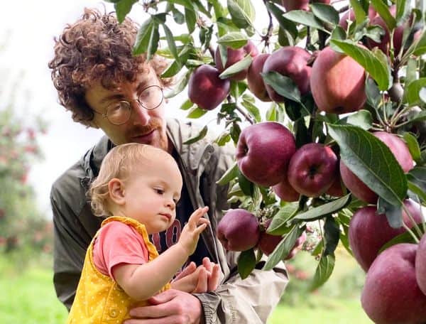 Fruit Picking in Waterbury Connecticut