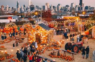 Halloween in Chicago Illinois