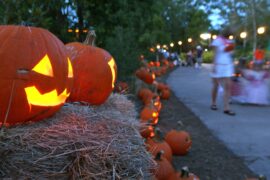 Halloween in Jacksonville Florida