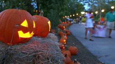 Halloween in Jacksonville Florida