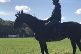 Horse Riding in Arlington Heights Illinois