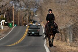 Horse Riding in Arvada Colorado