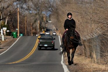 Horse Riding in Arvada Colorado