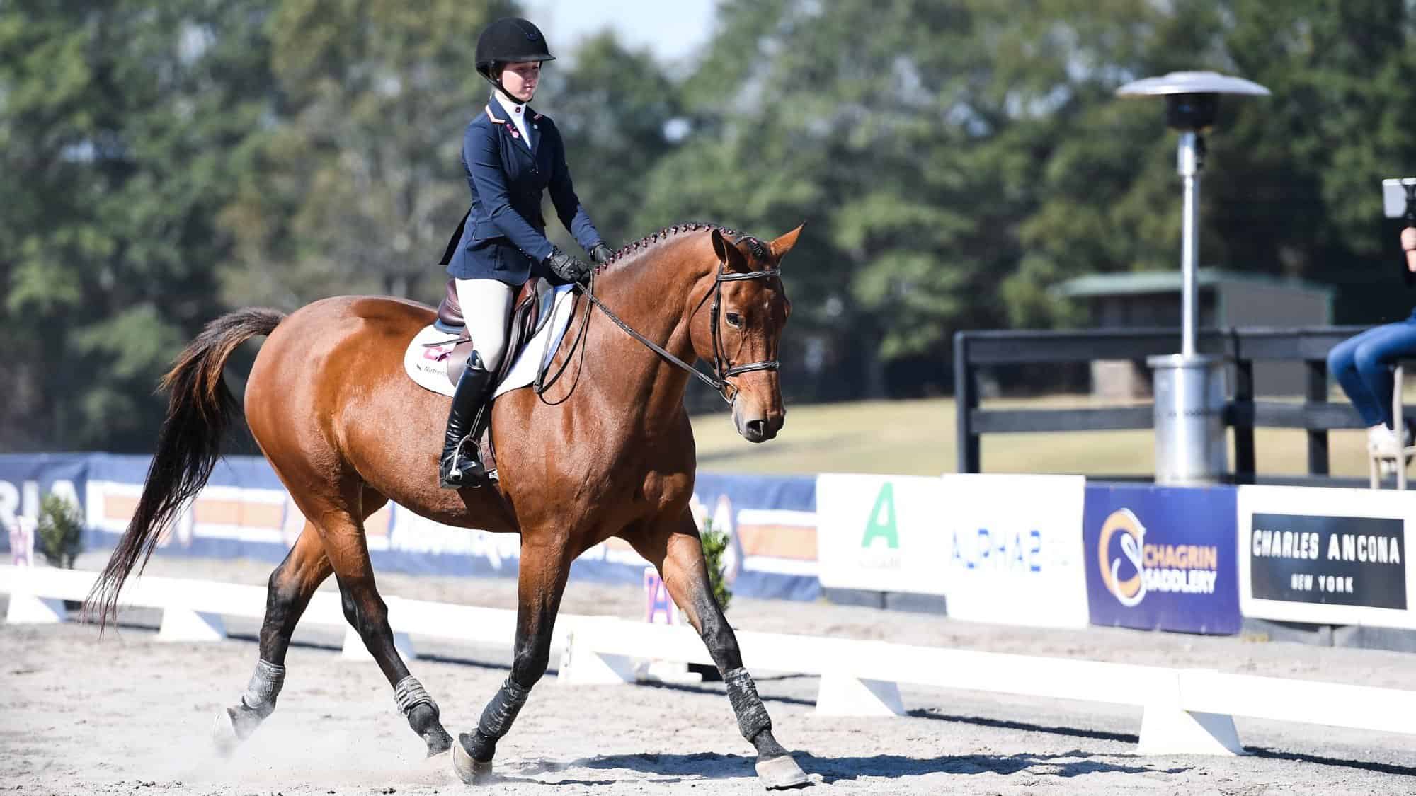 Horse Riding in Auburn Alabama