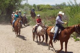 Horse Riding in Aurora Colorado