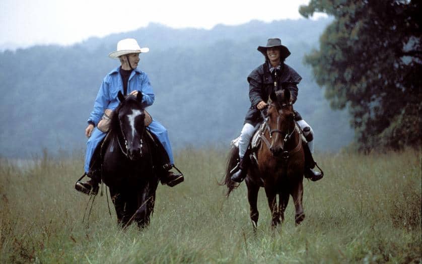 Horse Riding in Bethesda Maryland