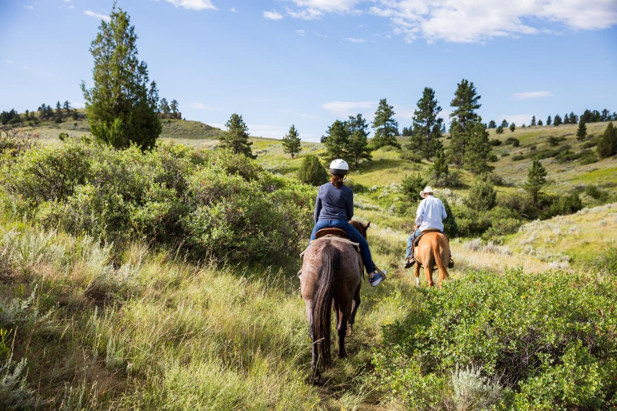 Horse Riding in Billings Montana