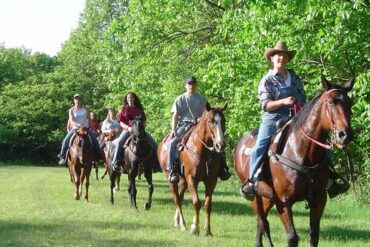 Horse Riding in Bloomington Illinois