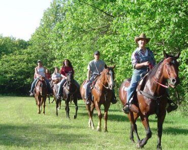 Horse Riding in Bloomington Illinois