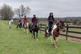 Horse Riding in Bowling Green Kentucky