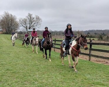 Horse Riding in Bowling Green Kentucky