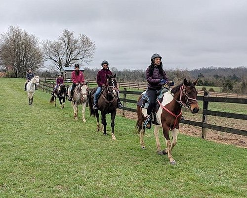 Horse Riding in Bowling Green Kentucky