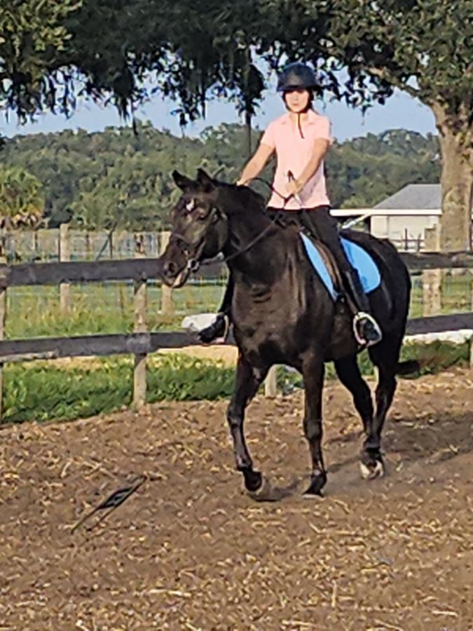 Horse Riding in Brandon Florida