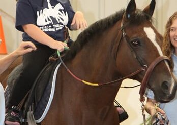 Horse Riding in Buffalo New York