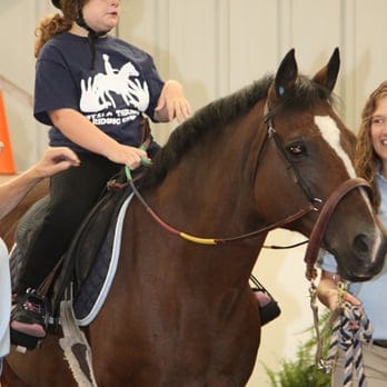 Horse Riding in Buffalo New York