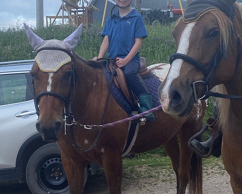 Horse Riding in Bukit Merah