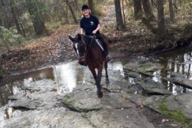 Horse Riding in Centreville Virginia