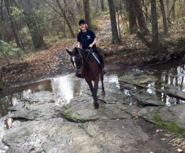 Horse Riding in Centreville Virginia