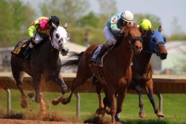 Horse Riding in Cheektowaga New York