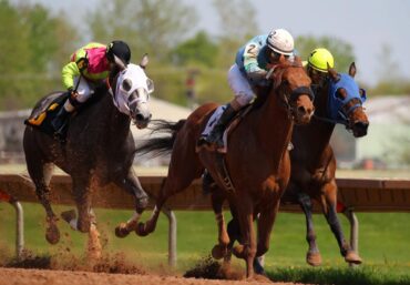 Horse Riding in Cheektowaga New York