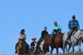 Horse Riding in Cheyenne Wyoming