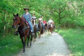 Horse Riding in Chicago Illinois