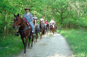 Horse Riding in Chicago Illinois