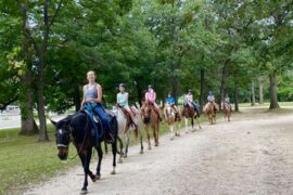 Horse Riding in Cicero Illinois