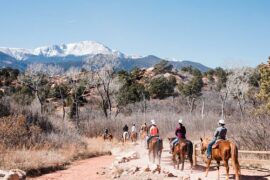 Horse Riding in Colorado Springs Colorado