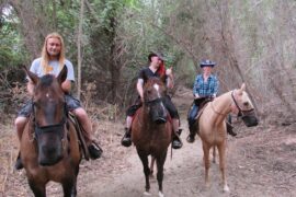 Horse Riding in Corona California