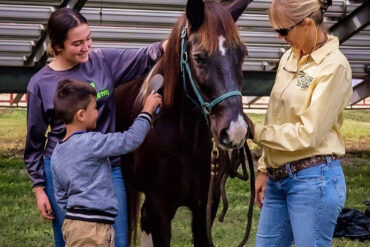 Horse Riding in Doral Florida