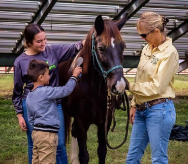 Horse Riding in Doral Florida