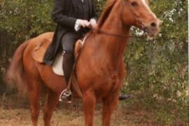 Horse Riding in Dothan Alabama