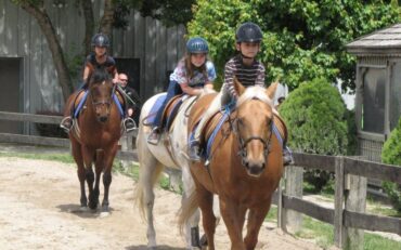 Horse Riding in Frederick Maryland