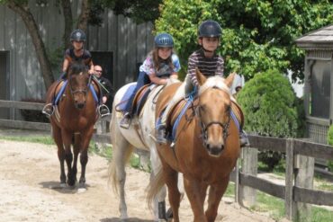 Horse Riding in Frederick Maryland