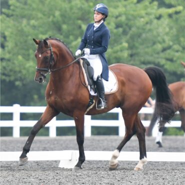 Horse Riding in Gaithersburg Maryland