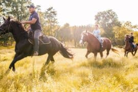 Horse Riding in Germantown Maryland